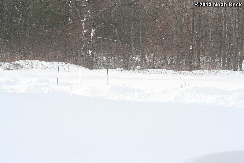 February 9, 2013: Looking through a window over the back yard during Nemo (2013 blizzard).  Images taken every 15 minutes.  Video version here.