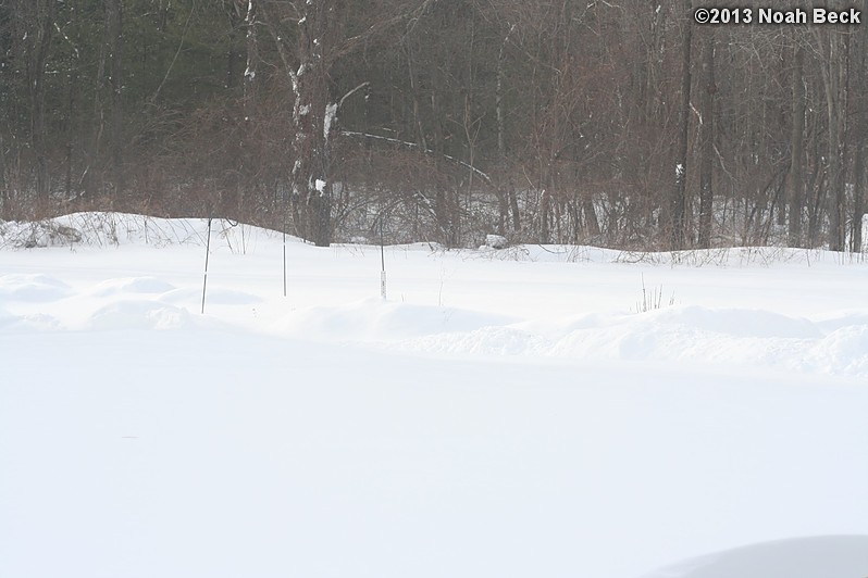 February 9, 2013: Looking through a window over the back yard during Nemo (2013 blizzard).  Images taken every 15 minutes.  Video version here.