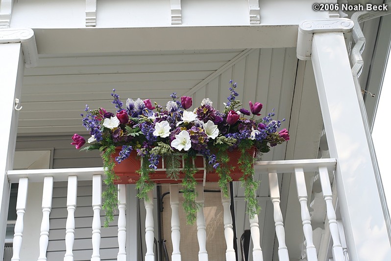 August 19, 2006: Window boxes done with silk flowers