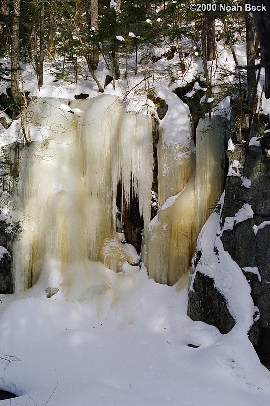 February 6, 2000: Winter along the Basin-Cascades trail