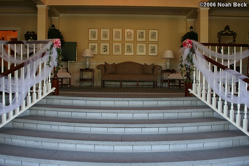 July 1, 2006: accent arrangments on a stairway