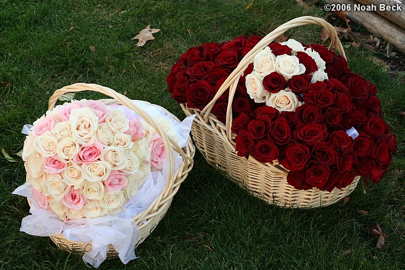 November 11, 2006: baskets with hand-held rose bouquets