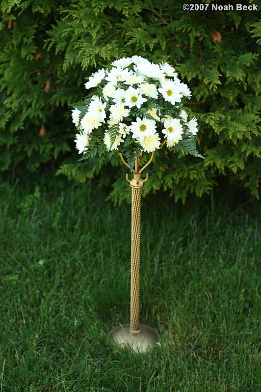 June 23, 2007: elevated centerpiece arrangement