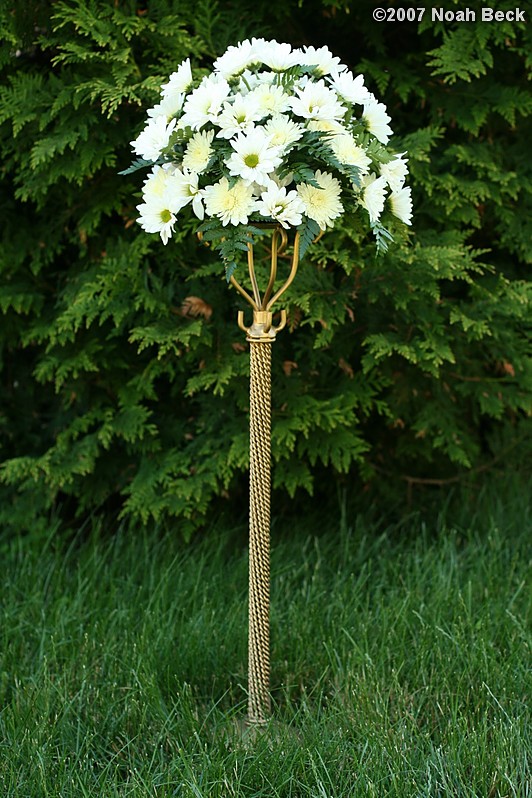 June 23, 2007: elevated centerpiece arrangement