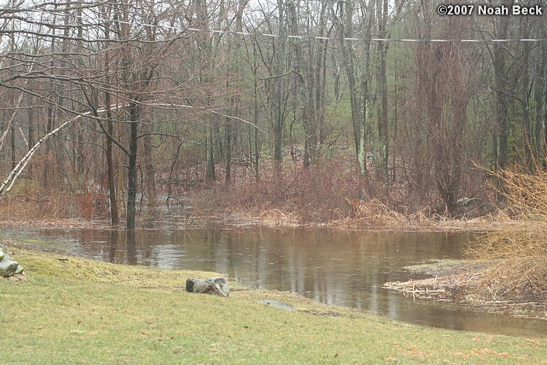 April 16, 2007: Flooding in our back yard