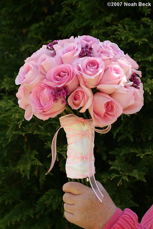 June 24, 2007: hand-held bouquet of roses