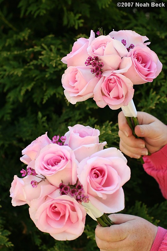 June 24, 2007: hand-held bouquet of roses