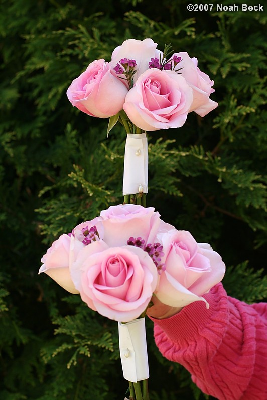 June 24, 2007: hand-held bouquet of roses