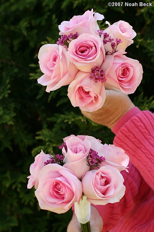 June 24, 2007: hand-held bouquet of roses