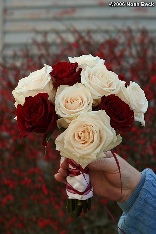 November 11, 2006: hand-held rose bouquet