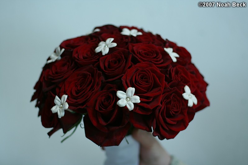 January 20, 2007: hand-held rose bouquet