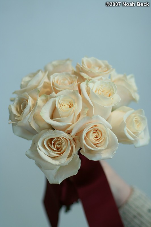 January 20, 2007: hand-held rose bouquet