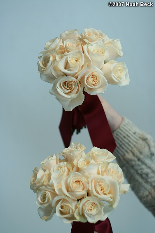 January 20, 2007: hand-held rose bouquet