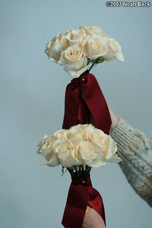 January 20, 2007: hand-held rose bouquet