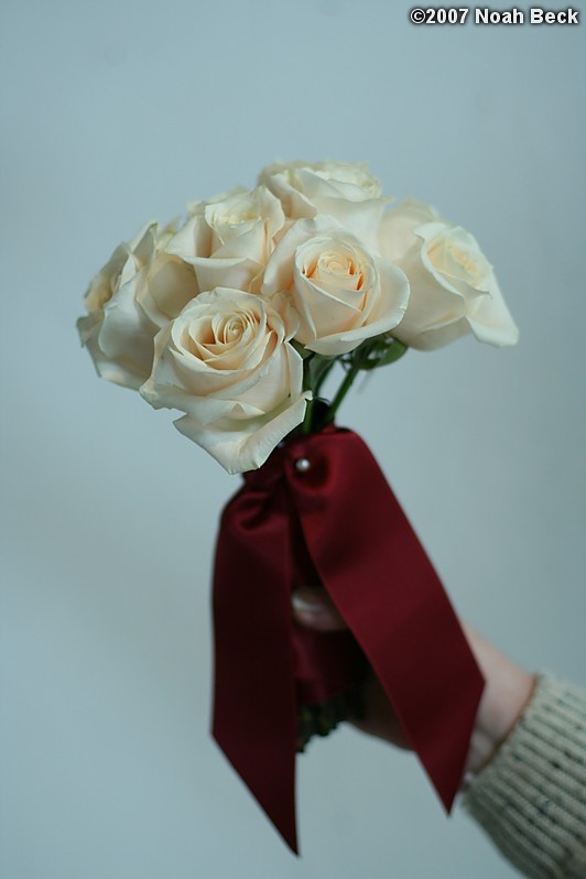 January 20, 2007: hand-held rose bouquet