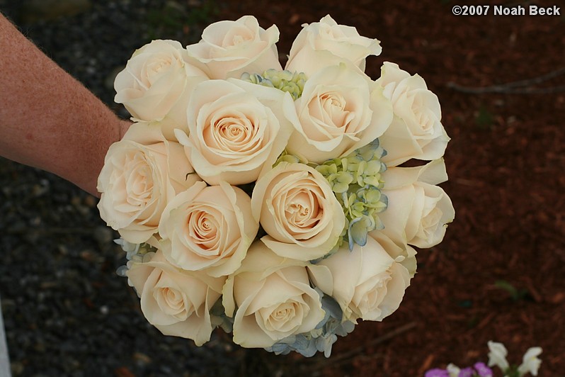 May 5, 2007: hand-held rose bouquet