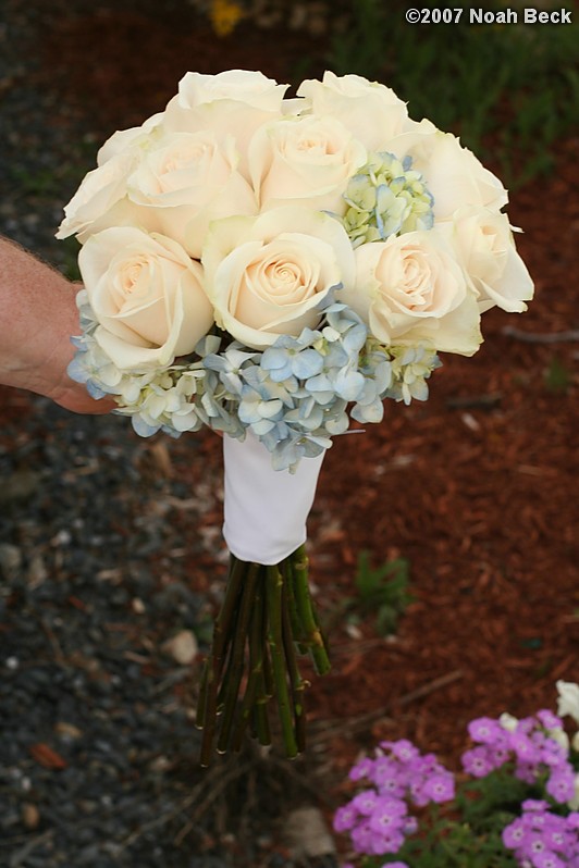 May 5, 2007: hand-held rose bouquet