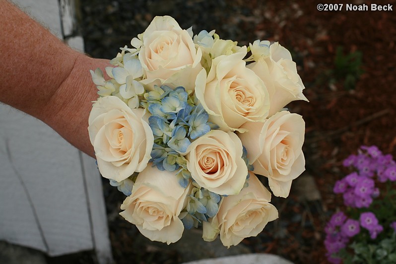 May 5, 2007: hand-held rose bouquet