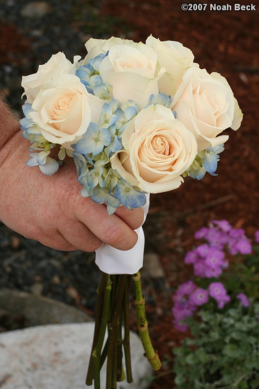 May 5, 2007: hand-held rose bouquet