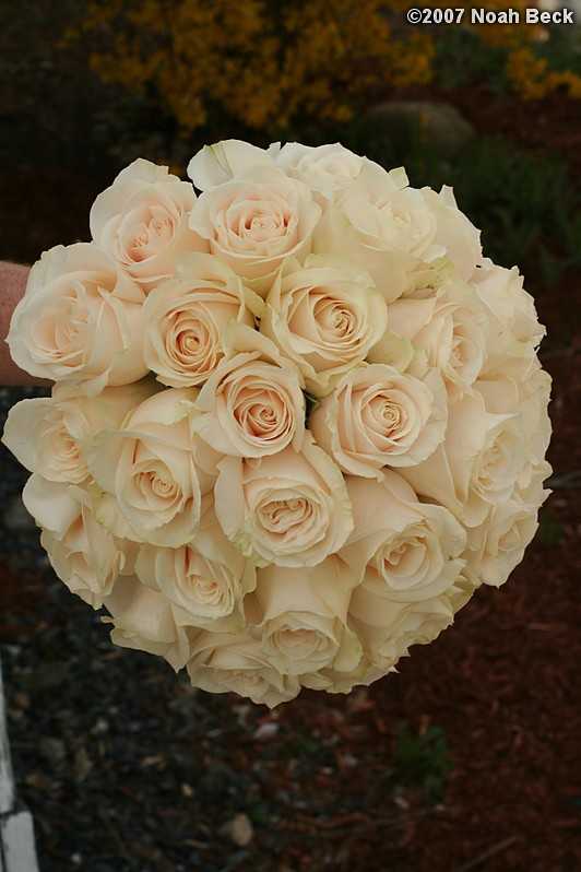 May 5, 2007: hand-held rose bouquet