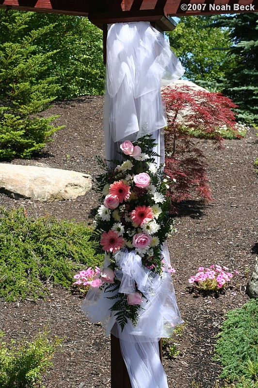 June 24, 2007: Pergola floral accents