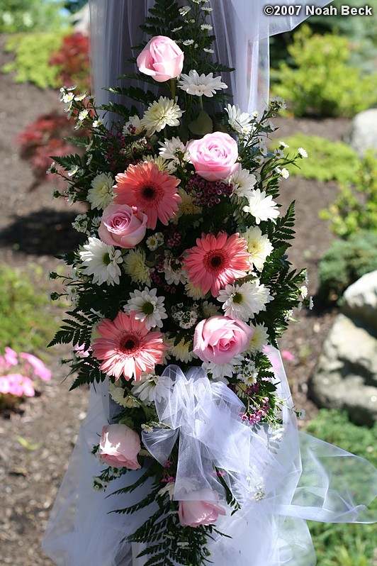 June 24, 2007: Pergola floral accents