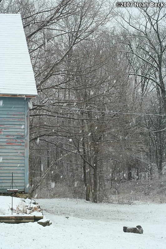 April 15, 2007: Snow falling in our back yard