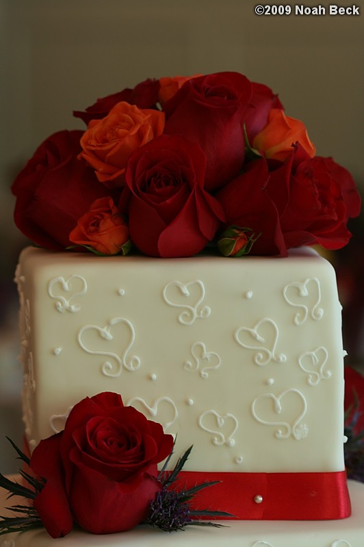 May 2, 2009: wedding cake with floral accent