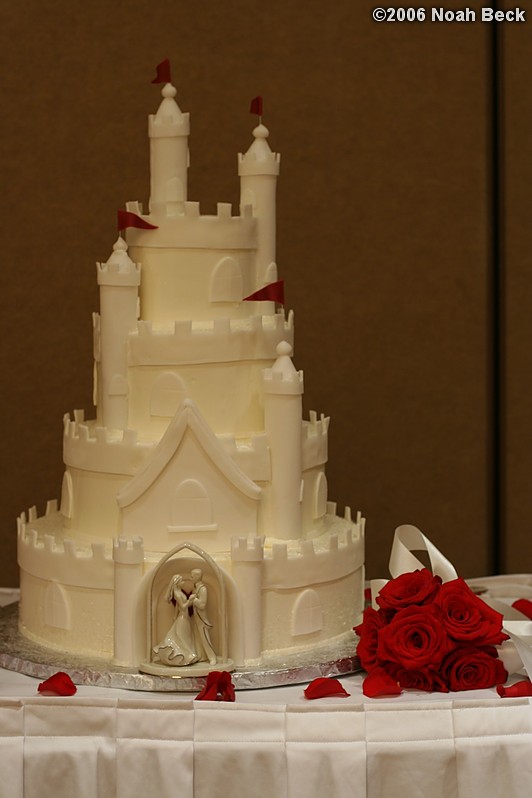 November 11, 2006: wedding cake with flower accents